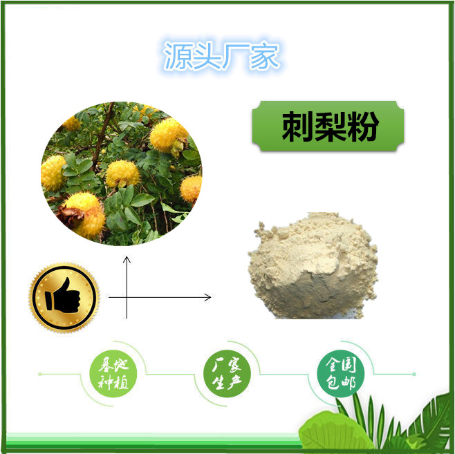 刺梨_副本