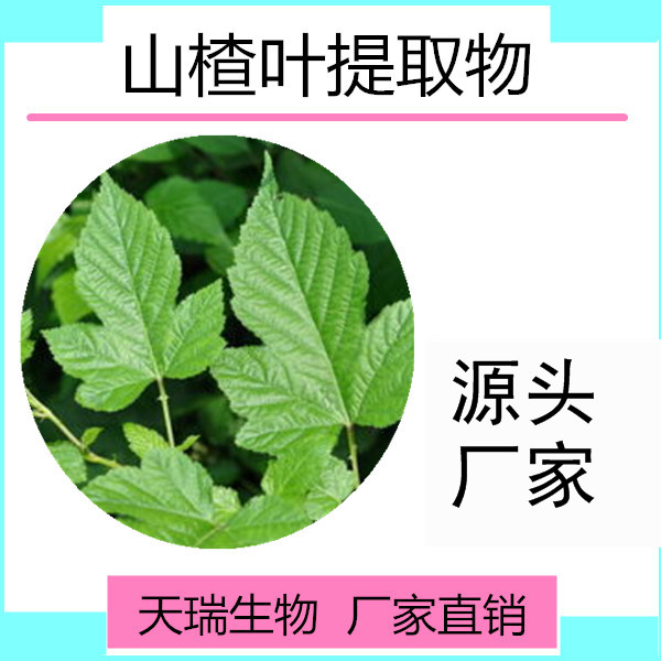 山楂叶_副本