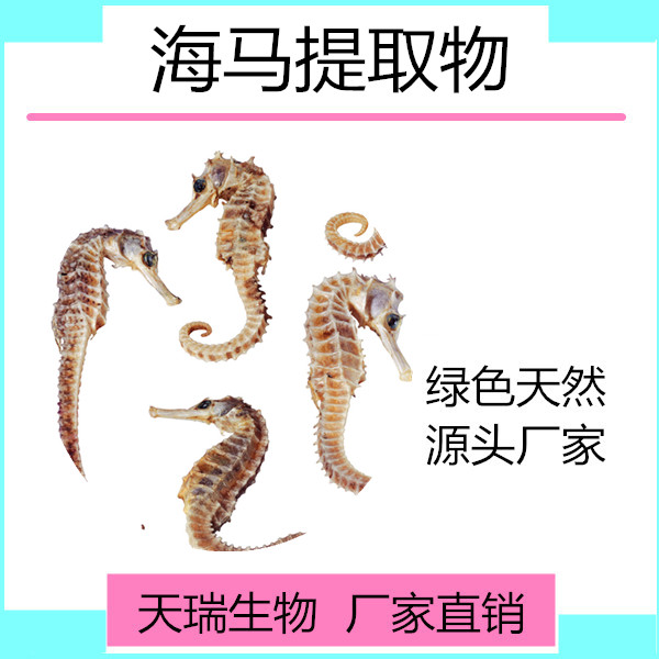 海马_副本