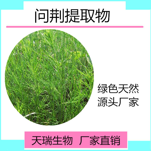 问荆_副本