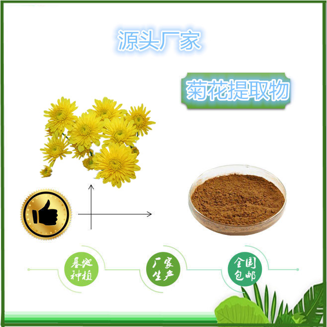 菊花 - 副本_副本