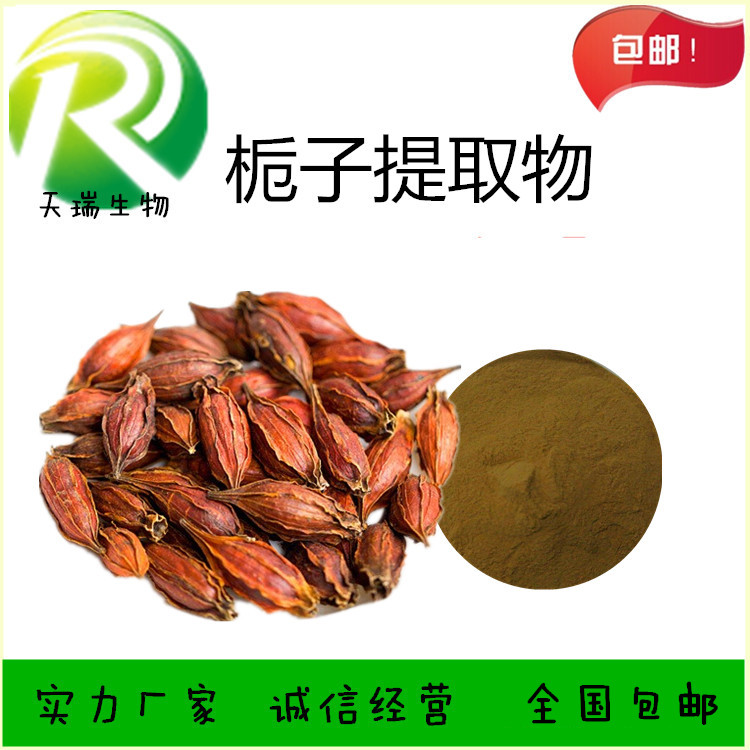 栀子_副本