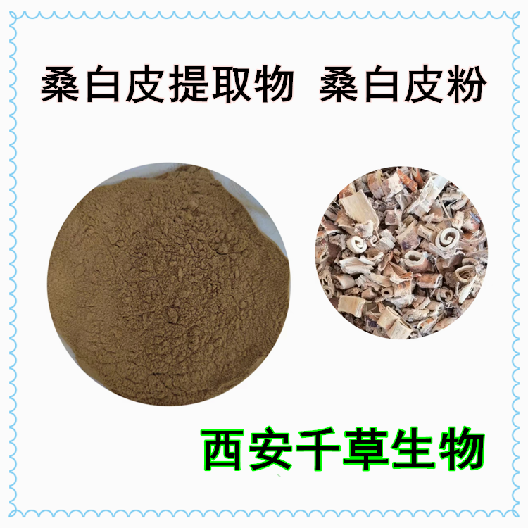 桑白皮提取物