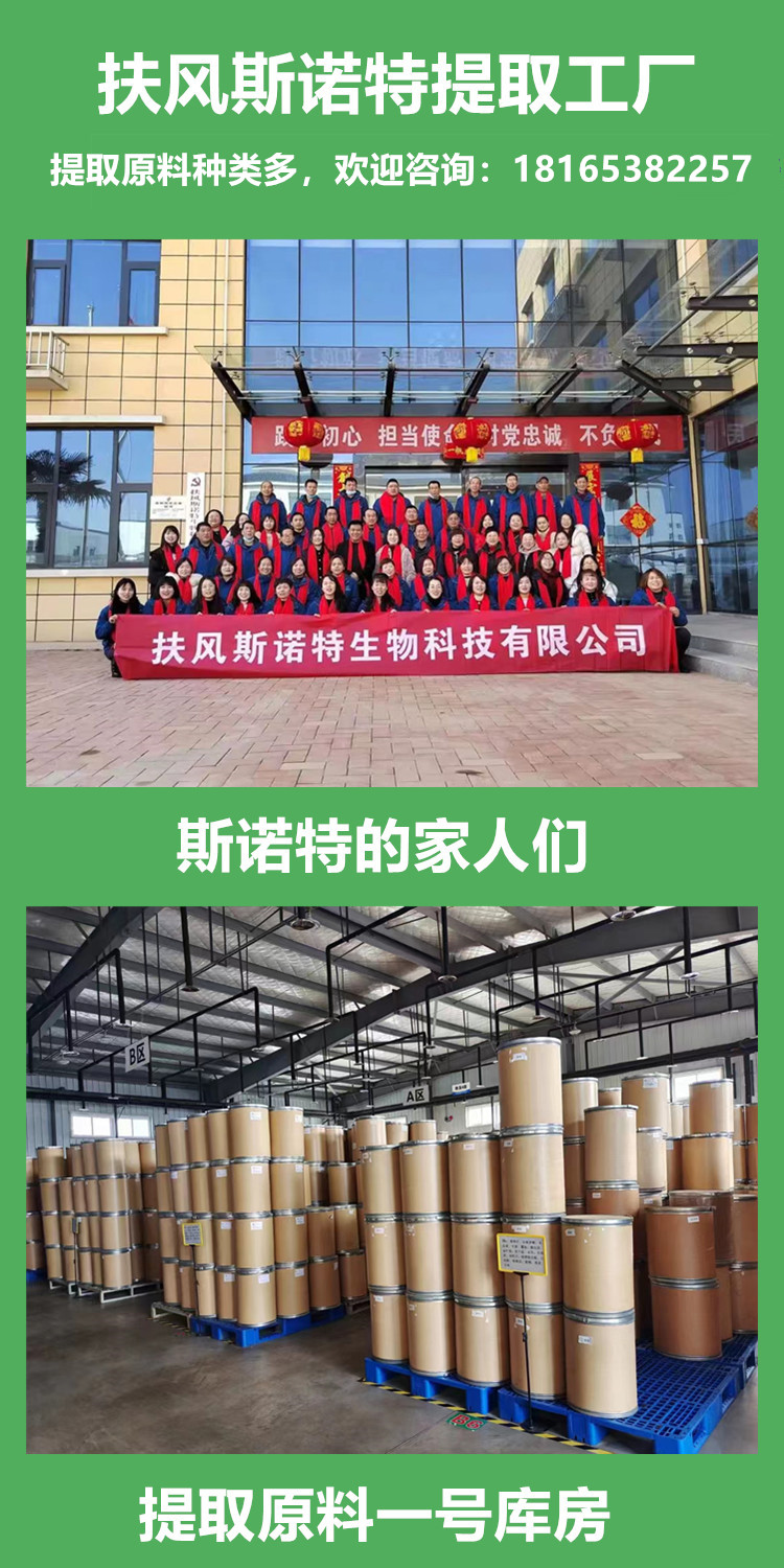 斯诺特家人