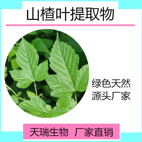 山楂叶_副本