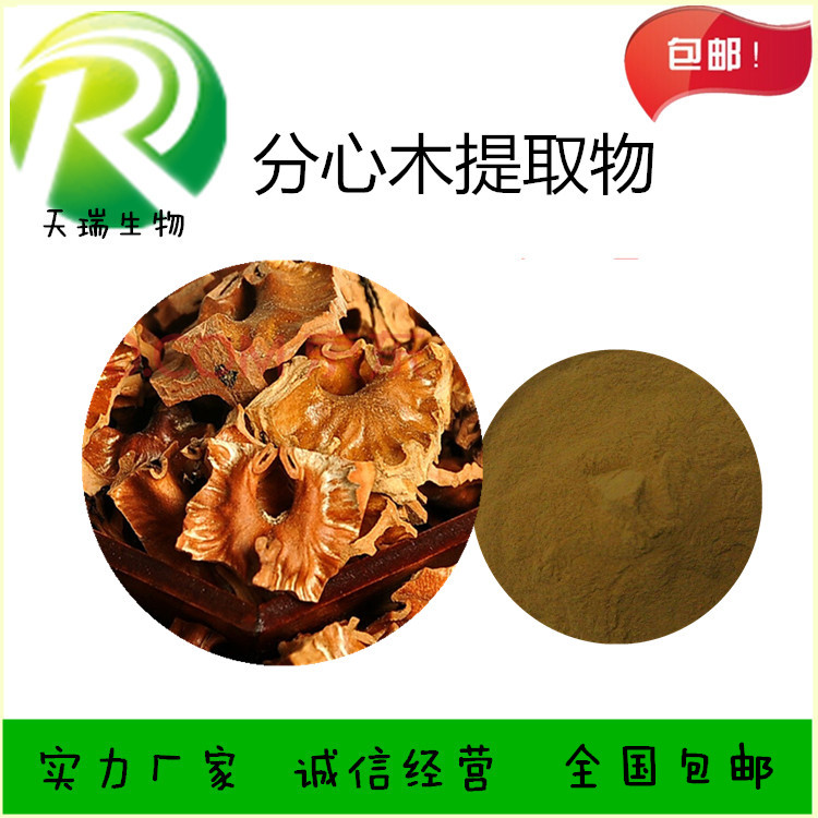 分心木_副本