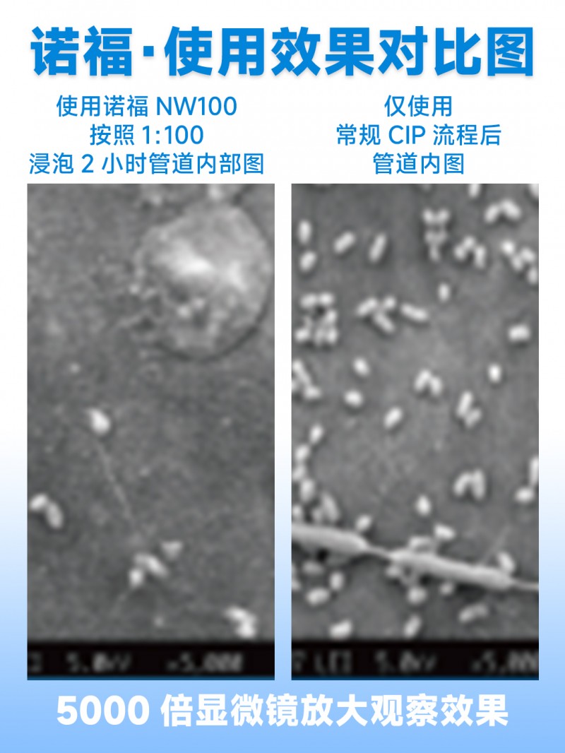 L202505-4-10_看图王