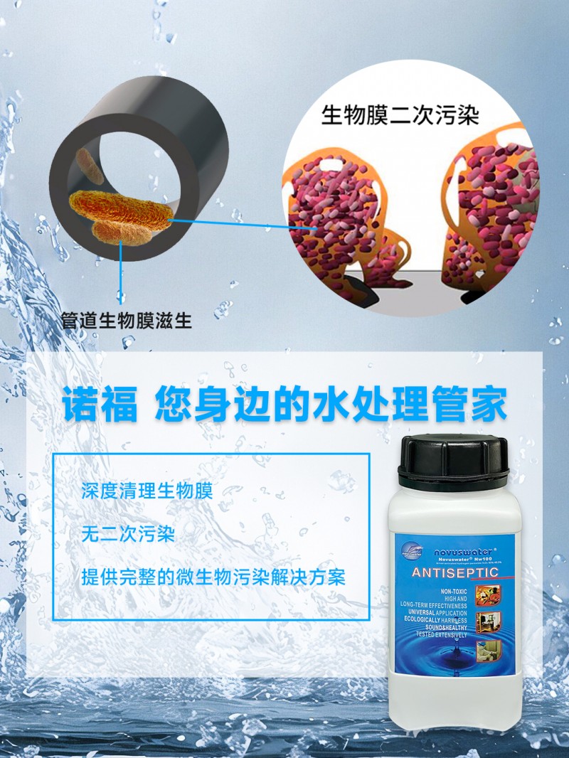 L202505-4-8_看图王