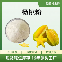 杨桃粉浓缩粉水提喷雾干燥工艺10:1食品级原料