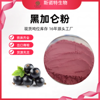 黑加仑粉黑醋栗黑茶?子粉水溶性好