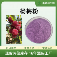 杨梅粉食品原料 10:1浓缩萃取喷雾干燥工艺 固体饮料原料