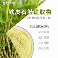 铁皮石斛提取物 水溶粉 浓缩萃取 食品原料