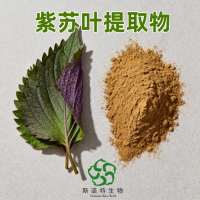 紫苏叶提取物 水溶性 食品饮料原料 厂家斯诺特SC