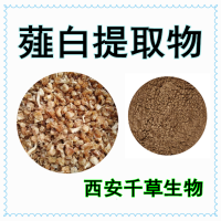 薤白萃取粉薤白浓缩液