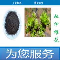 杜仲雄花提取物10:1可代工