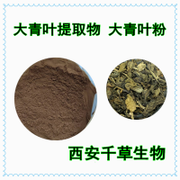 大青叶提取物粉