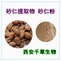 春砂仁提取物春砂仁粉春砂仁提取液