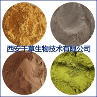 野黄菊提取物 西安千草供应植物提取物
