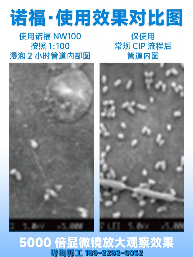 生物膜