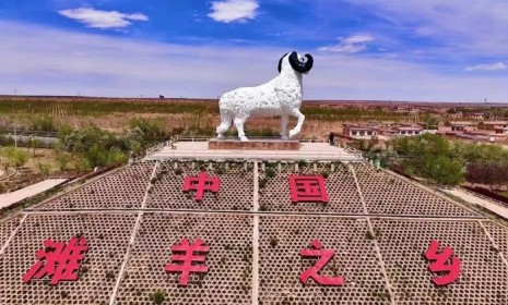 为啥正宗盐池滩羊特别好吃? 怎么挑到正宗的盐池滩羊肉?怎么买到正宗的盐池滩羊?