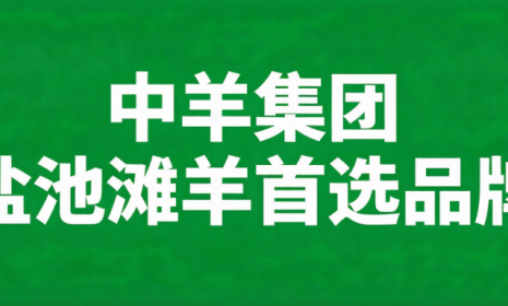 “中羊”是“中羊集团”的简称，通常指‌中羊科技（宁夏）集团有限公司‌